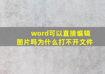 word可以直接编辑图片吗为什么打不开文件