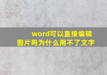 word可以直接编辑图片吗为什么用不了文字