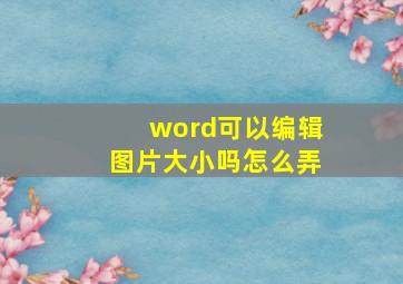 word可以编辑图片大小吗怎么弄