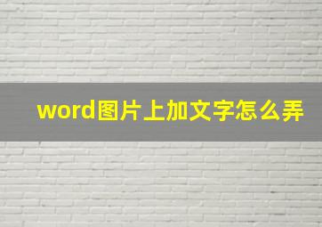 word图片上加文字怎么弄