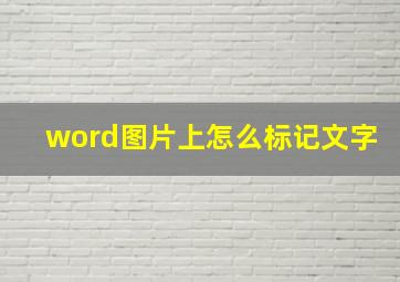 word图片上怎么标记文字