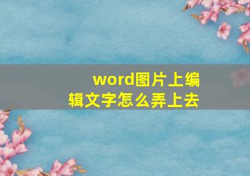 word图片上编辑文字怎么弄上去