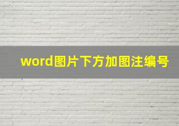 word图片下方加图注编号