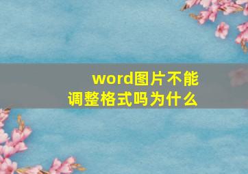 word图片不能调整格式吗为什么