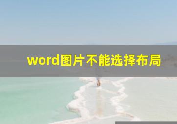 word图片不能选择布局