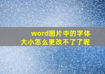 word图片中的字体大小怎么更改不了了呢