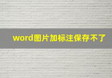 word图片加标注保存不了