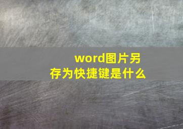 word图片另存为快捷键是什么