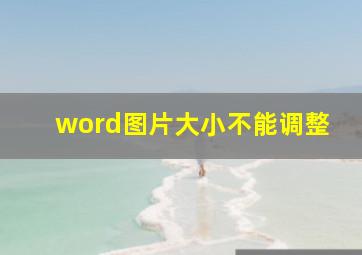 word图片大小不能调整