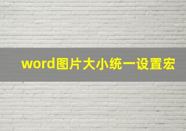 word图片大小统一设置宏