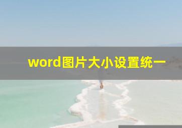 word图片大小设置统一