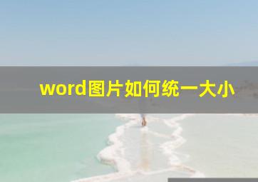 word图片如何统一大小