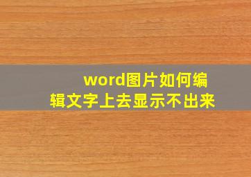 word图片如何编辑文字上去显示不出来