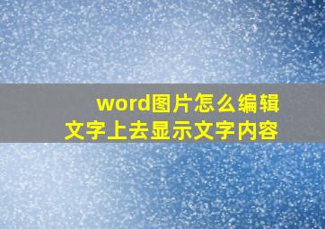 word图片怎么编辑文字上去显示文字内容