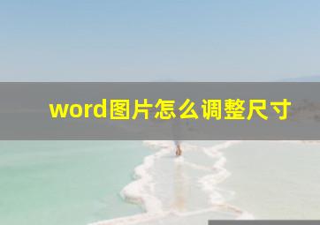 word图片怎么调整尺寸