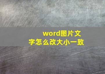 word图片文字怎么改大小一致