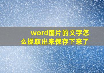 word图片的文字怎么提取出来保存下来了