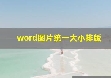 word图片统一大小排版