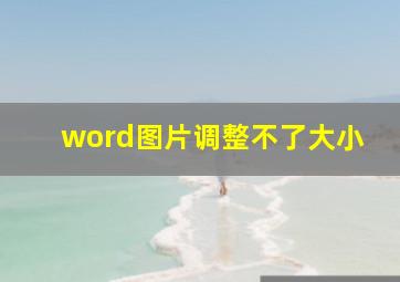 word图片调整不了大小