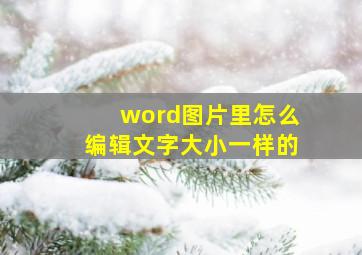 word图片里怎么编辑文字大小一样的