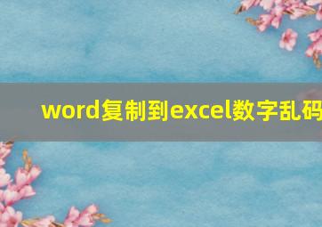 word复制到excel数字乱码