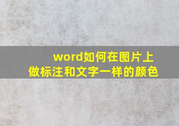 word如何在图片上做标注和文字一样的颜色