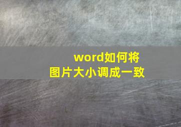 word如何将图片大小调成一致