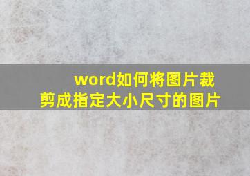 word如何将图片裁剪成指定大小尺寸的图片