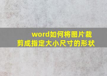 word如何将图片裁剪成指定大小尺寸的形状