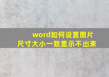 word如何设置图片尺寸大小一致显示不出来