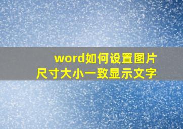 word如何设置图片尺寸大小一致显示文字