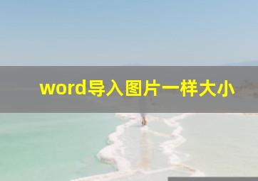 word导入图片一样大小