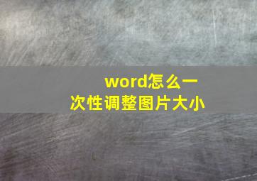 word怎么一次性调整图片大小