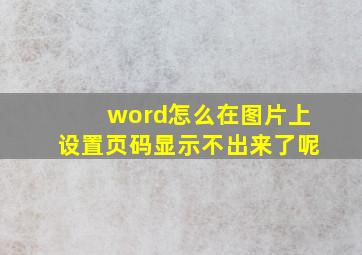 word怎么在图片上设置页码显示不出来了呢