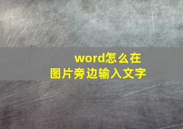 word怎么在图片旁边输入文字