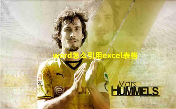 word怎么引用excel表格