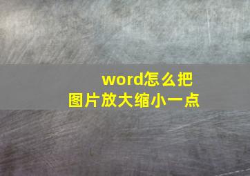 word怎么把图片放大缩小一点