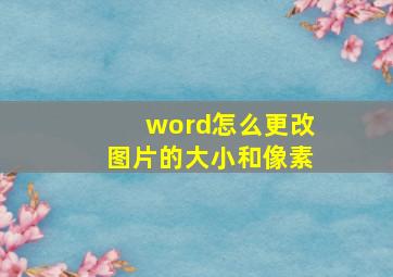 word怎么更改图片的大小和像素