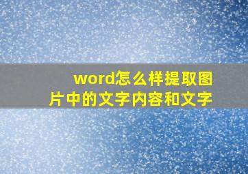 word怎么样提取图片中的文字内容和文字