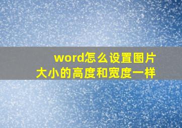 word怎么设置图片大小的高度和宽度一样