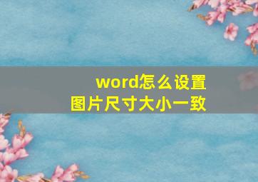 word怎么设置图片尺寸大小一致