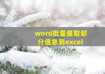 word批量提取部分信息到excel