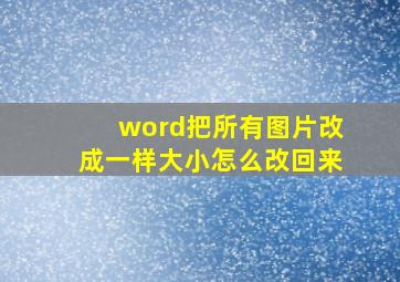 word把所有图片改成一样大小怎么改回来