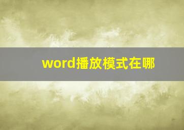 word播放模式在哪