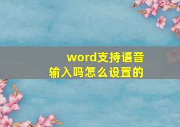 word支持语音输入吗怎么设置的