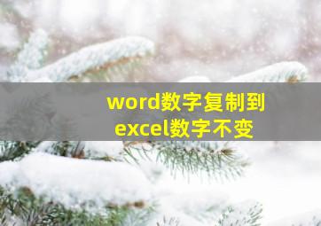 word数字复制到excel数字不变