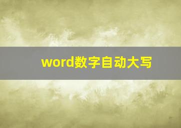 word数字自动大写