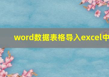 word数据表格导入excel中