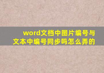 word文档中图片编号与文本中编号同步吗怎么弄的