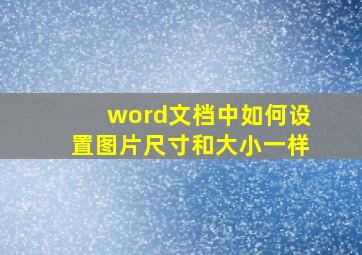 word文档中如何设置图片尺寸和大小一样